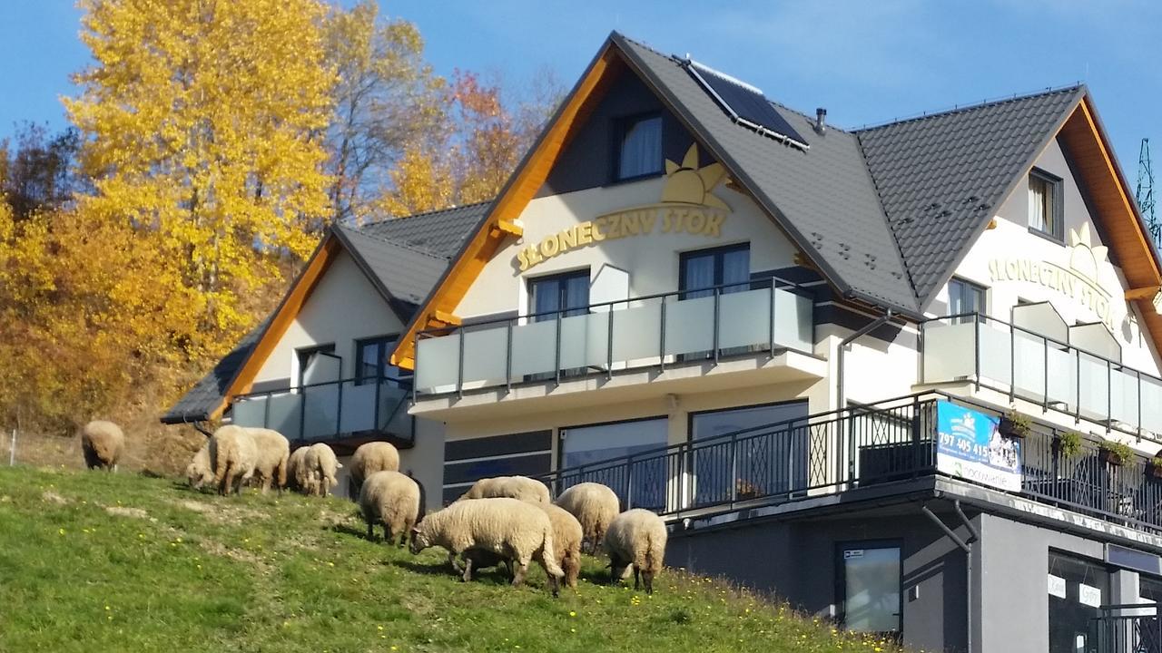 Sloneczny Stok Apartamento Miedzybrodzie Zywieckie Exterior foto